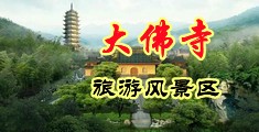 www.cao逼中国浙江-新昌大佛寺旅游风景区